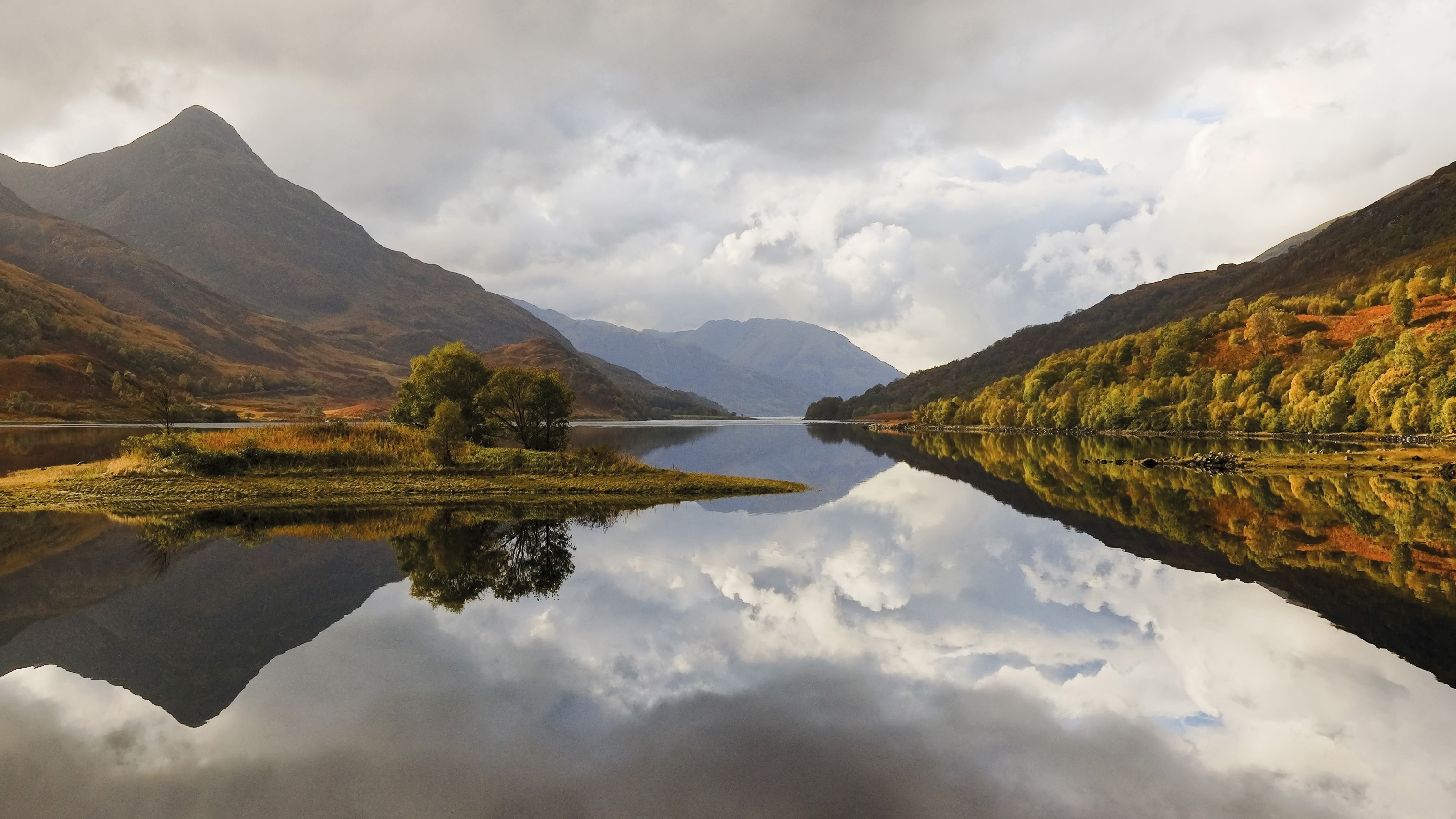 Background image: Financial Information