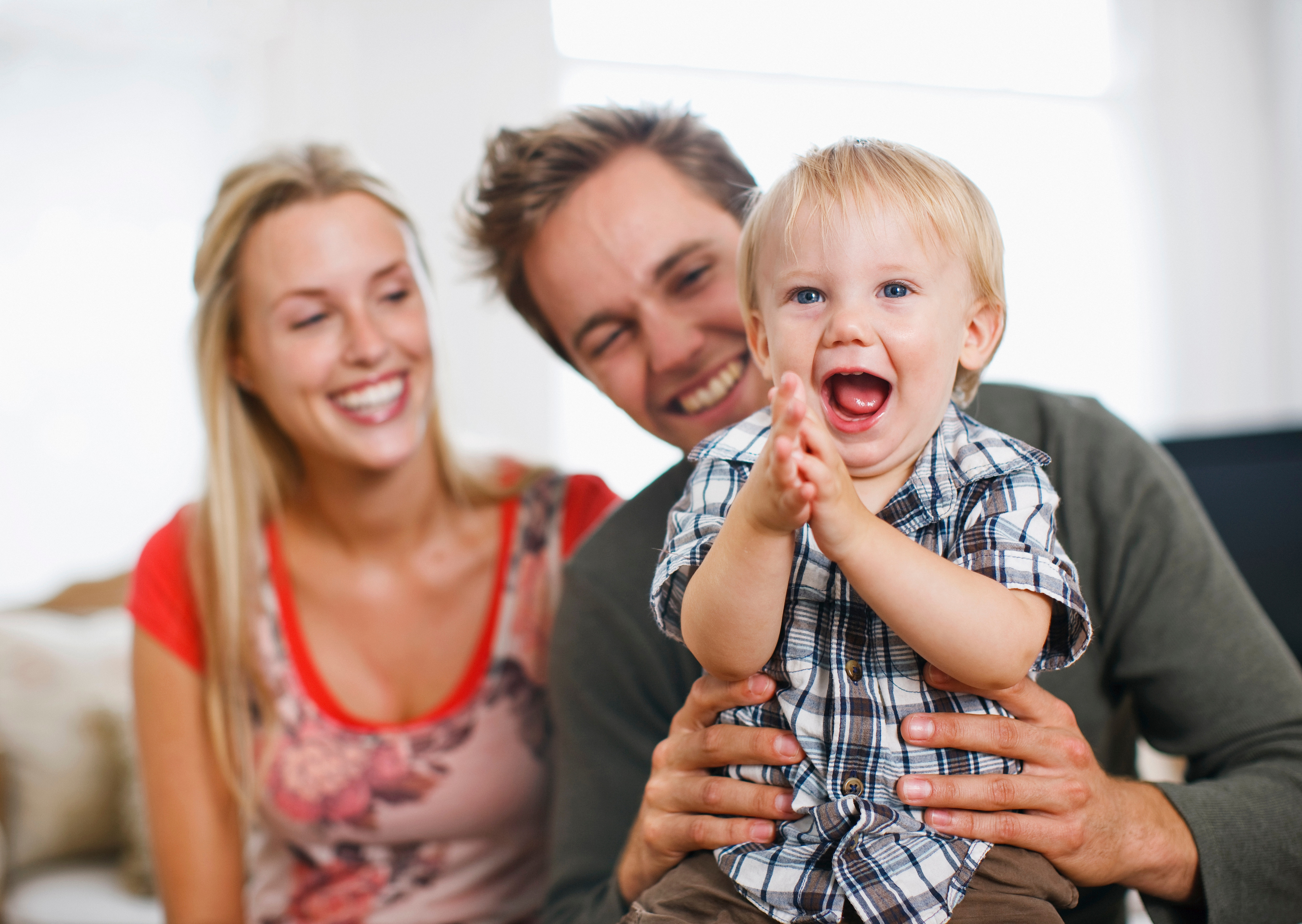 Background image: Scottish Building Society Intermediaries 