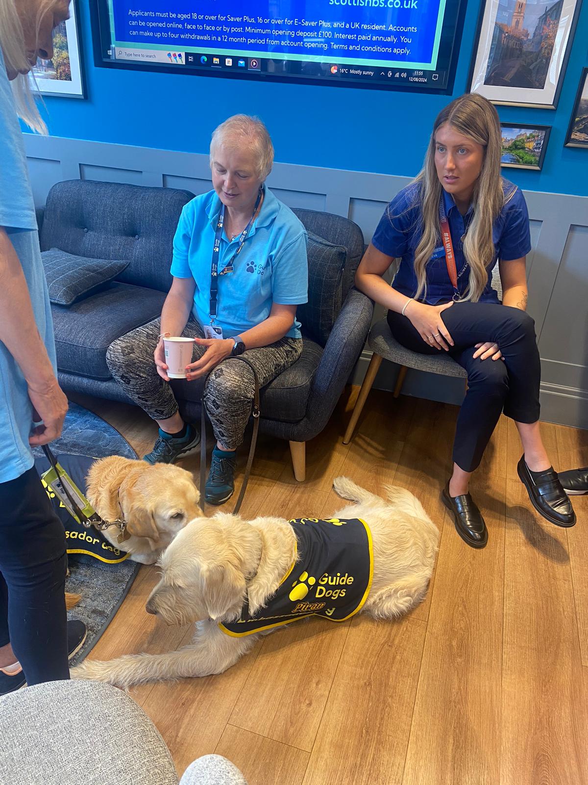 Background image: Paws for a Cause: Guide Dogs In The Community