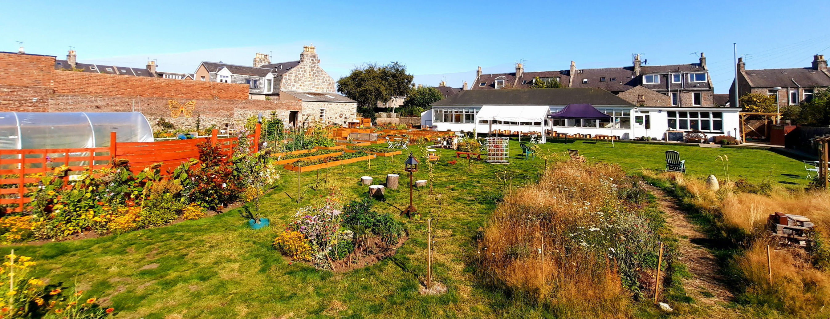 Background image: Bonnymuir Green Community Trust Awarded Foundation Grant