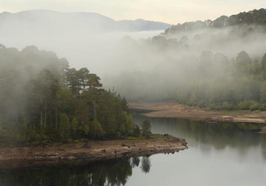 Background image: Scottish Building Society Carbon Challenge